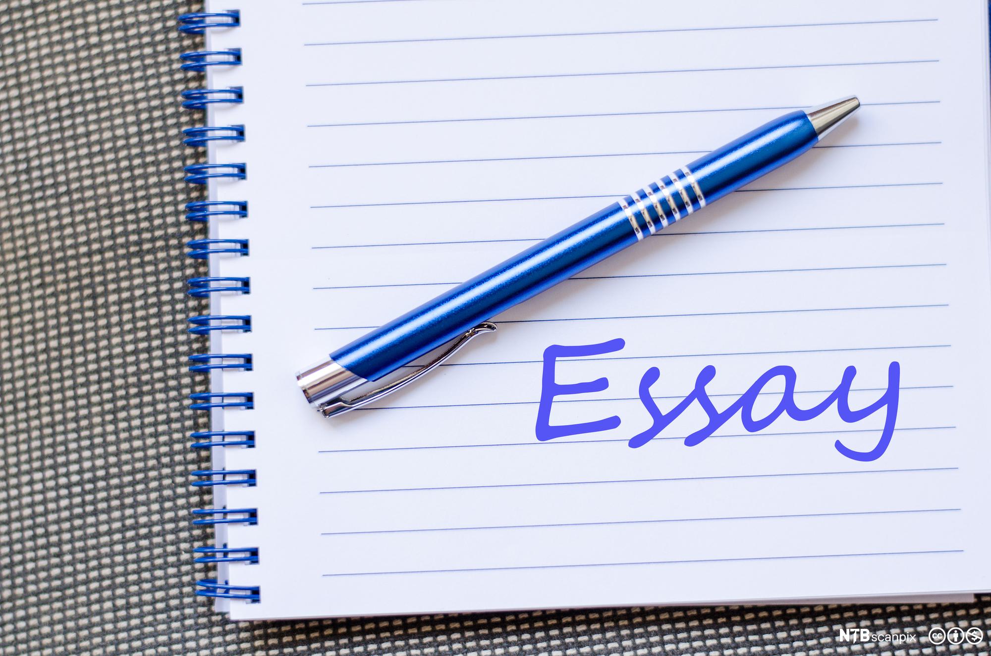 how do you make your essay longer