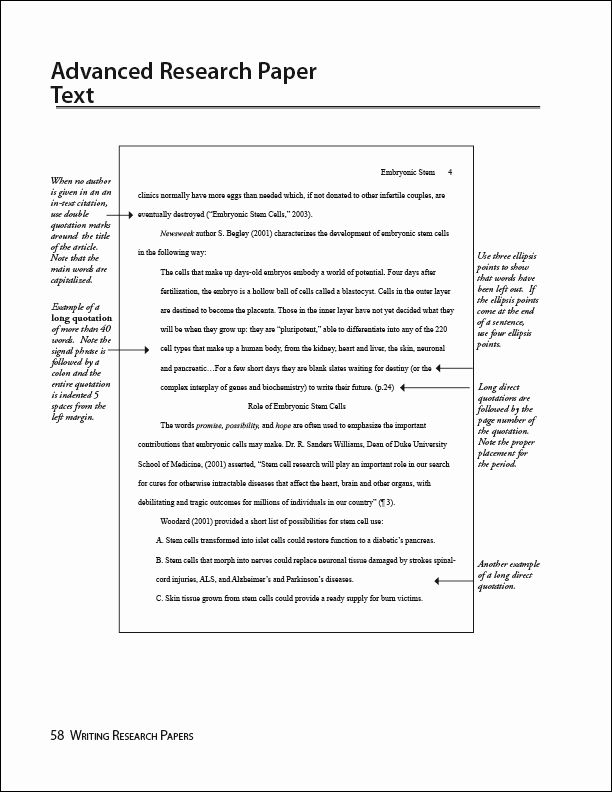 literature review in apa style example