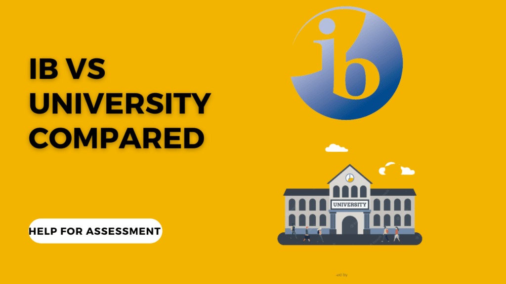 IB vs University